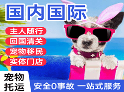 北京首都机场货运国际宠物托运 【国